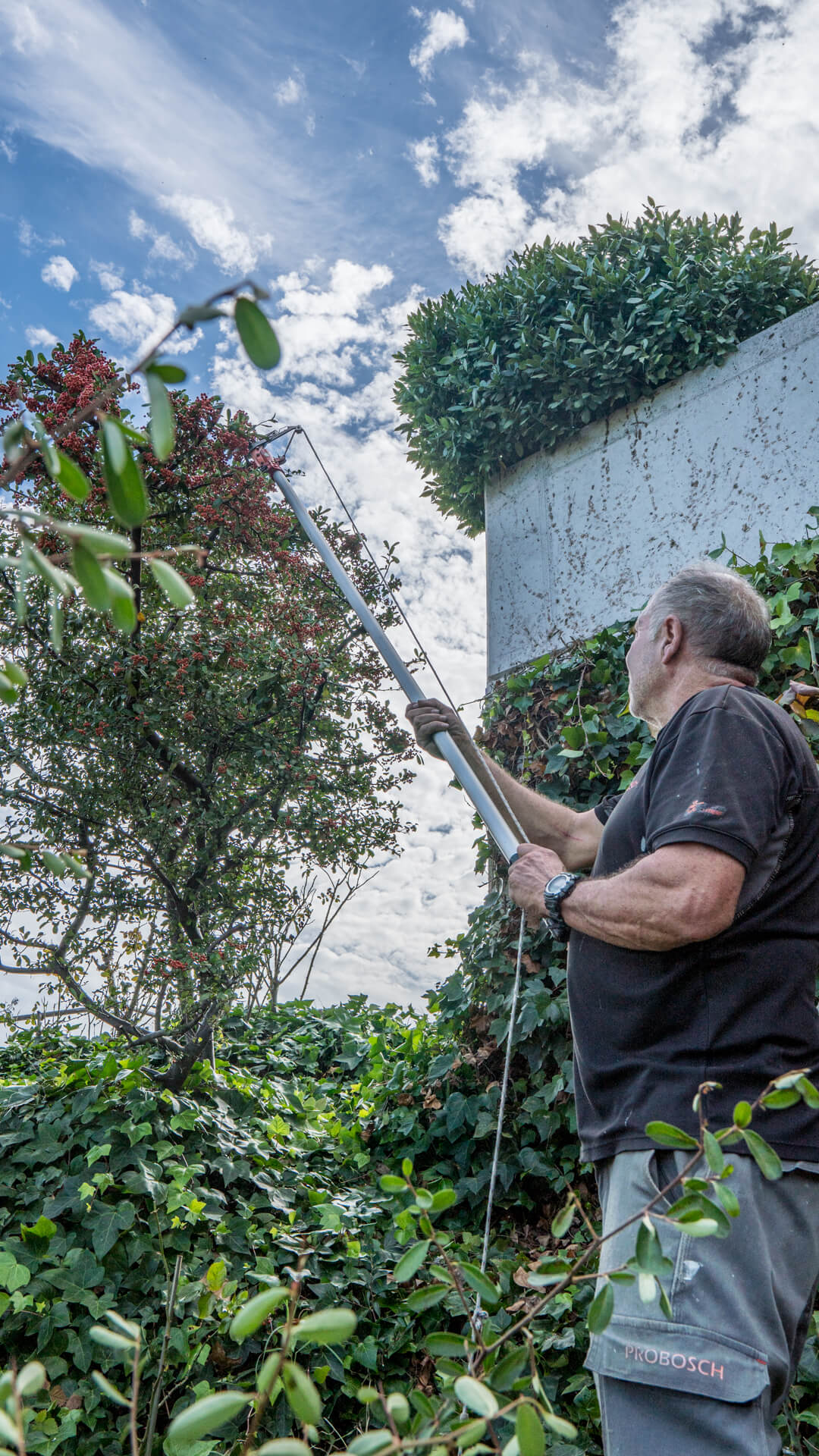 Llar Residència Tres Pins_1