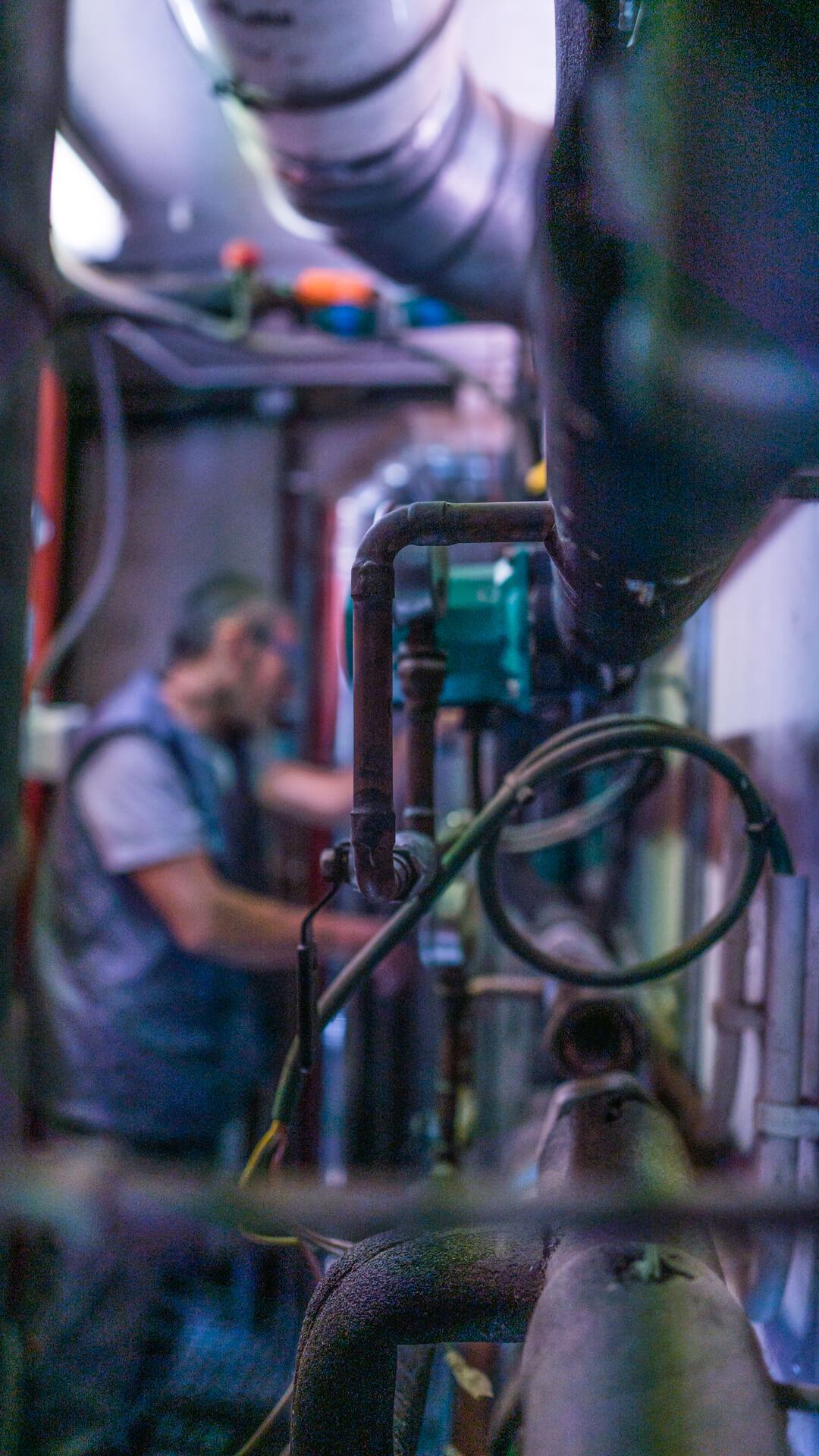 Llar Residència Tres Pins_13