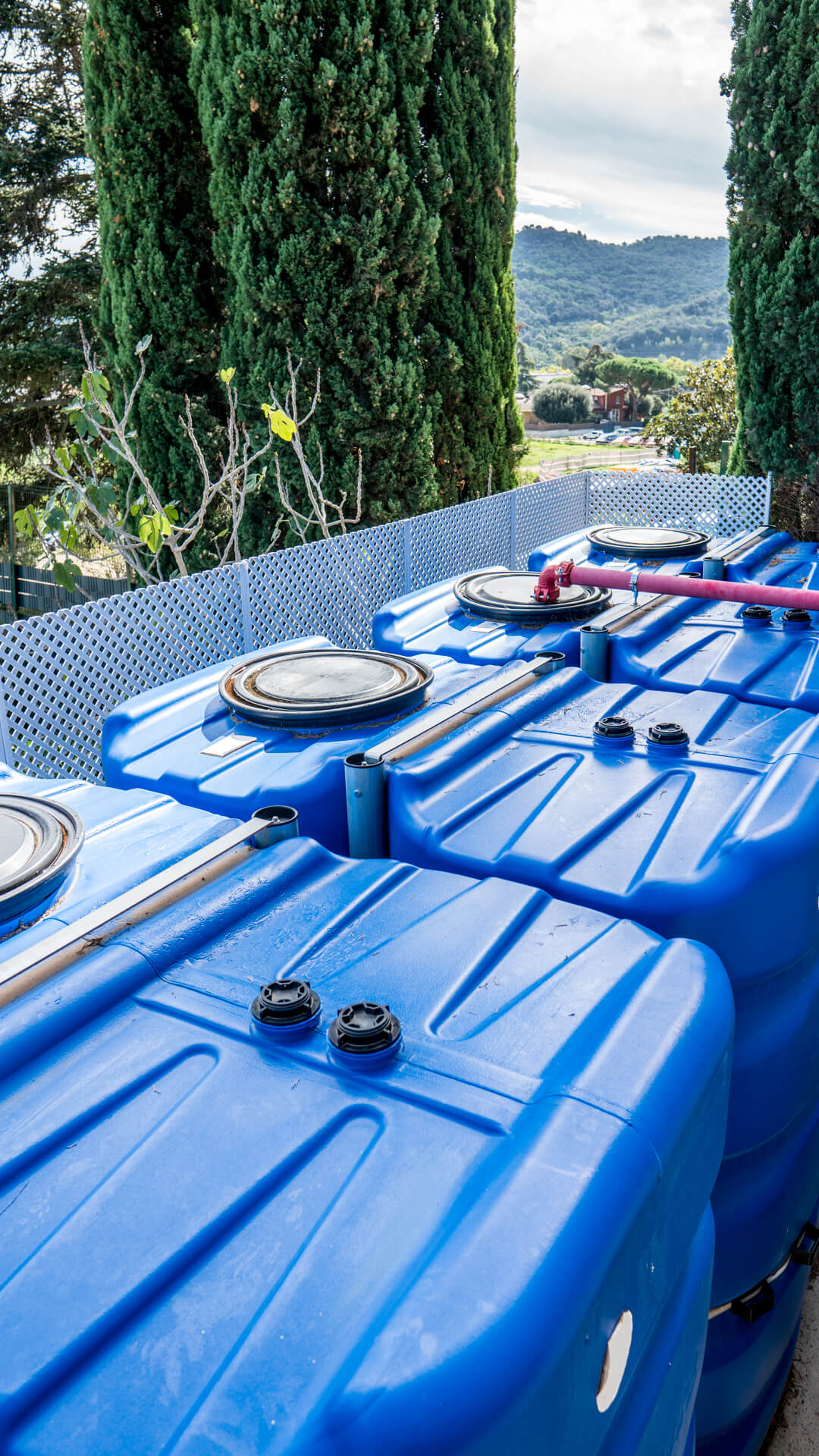 Llar Residència Tres Pins_7